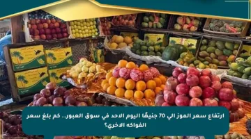 ارتفاع سعر الموز إلى 70 جنيهًا اليوم الأحد في سوق العبور.. كم بلغ سعر الفواكه الأخرى؟